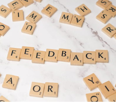 Role of User Feedback in Idea Validation